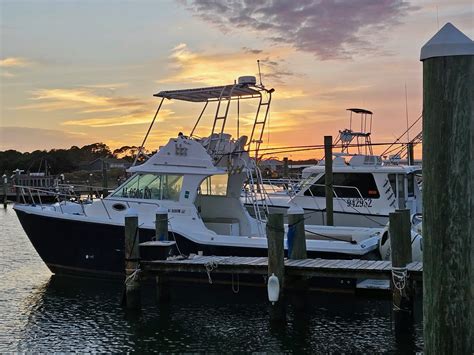 finatics fishing charters|Dauphin Island Fishing Boats .